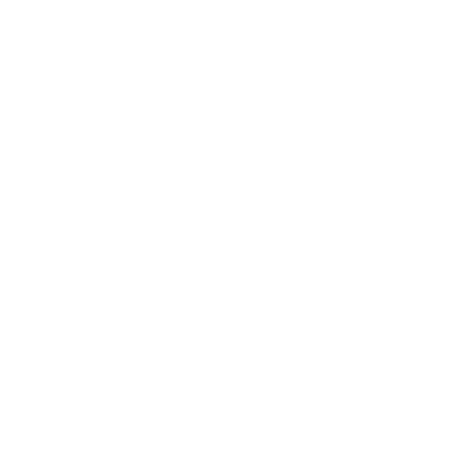 Lot 24