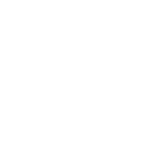 Lot 24